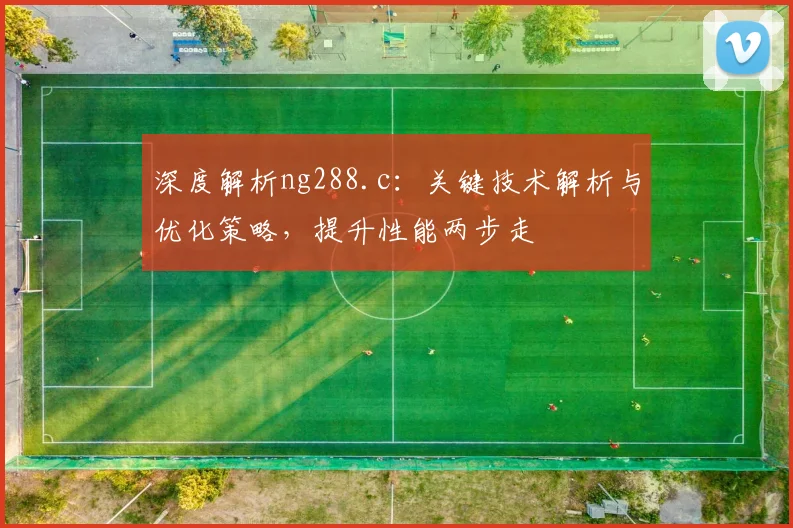 深度解析ng288.c：关键技术解析与优化策略，提升性能两步走