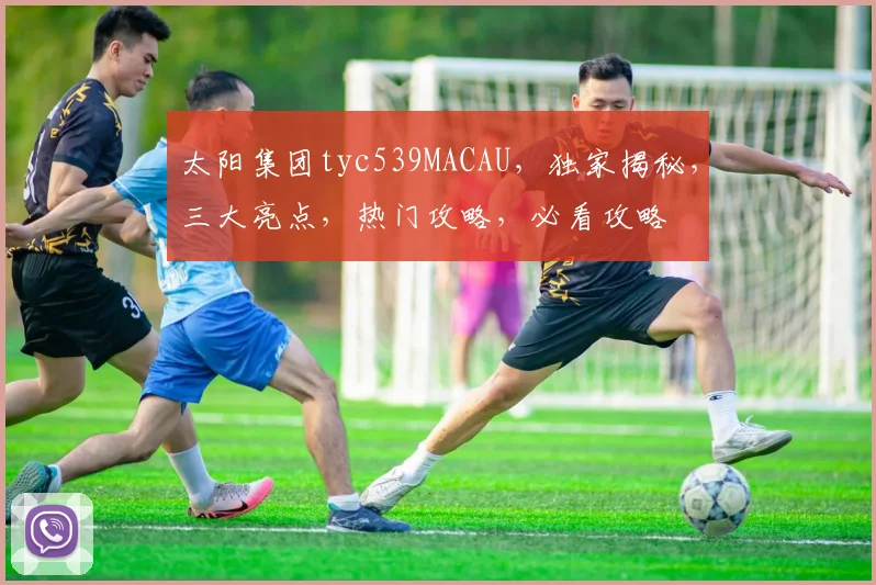 太阳集团tyc539MACAU，独家揭秘，三大亮点，热门攻略，必看攻略
