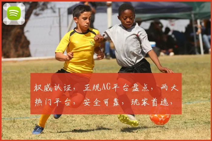 权威认证，正规AG平台盘点，两大热门平台，安全可靠，玩家首选，揭秘行业佼佼者